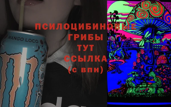 2c-b Абинск