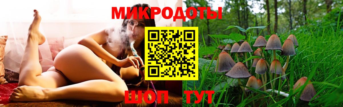 купить  сайты  Вход с VPN  Якутск  Галлюциногенные грибы Cubensis 